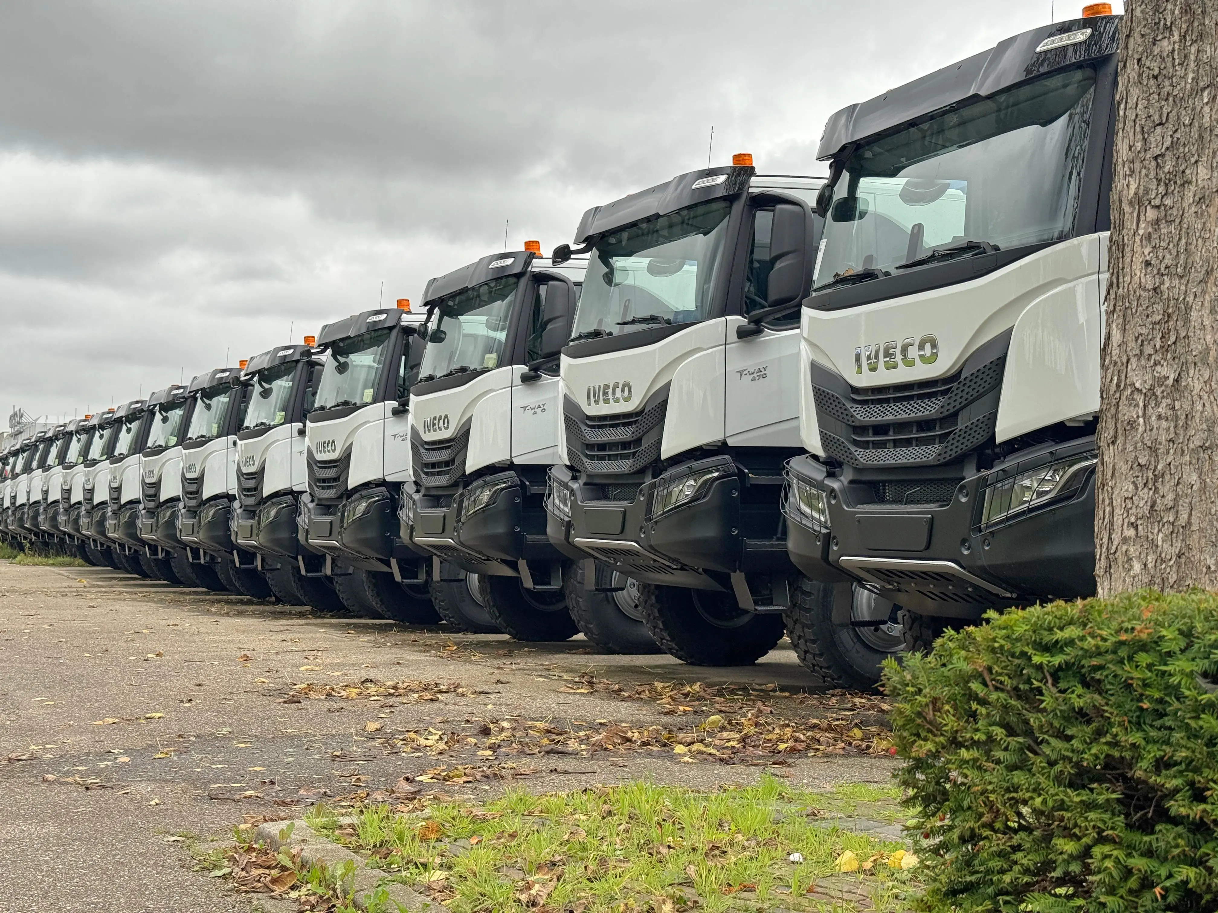 whatsapp-image-2025-10-06-at-155335